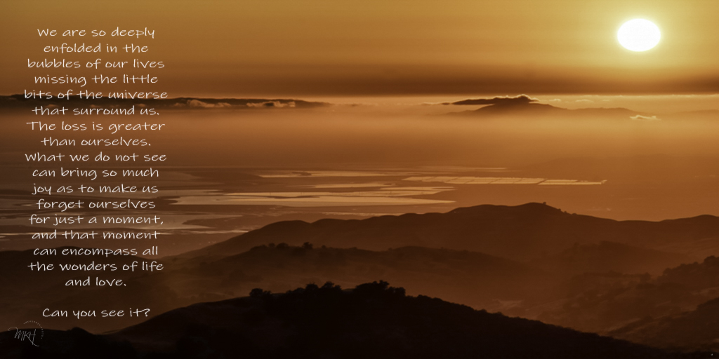 Popi's Photos & Books