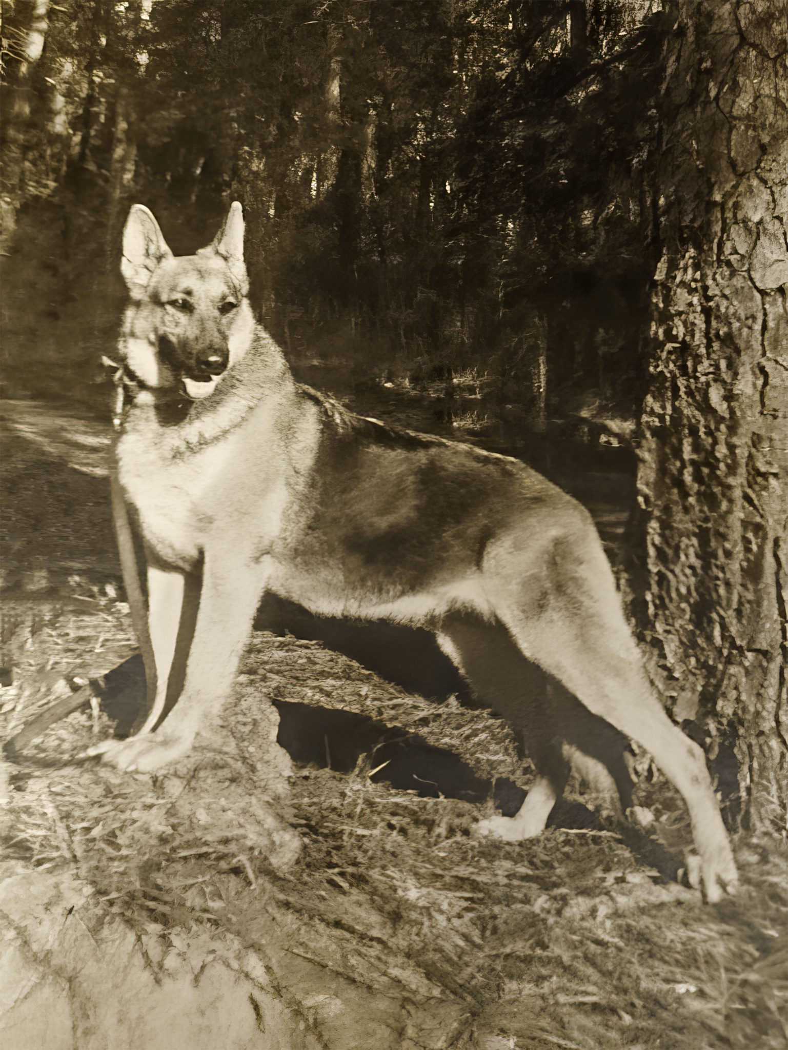 What’s new at Popi’s-2